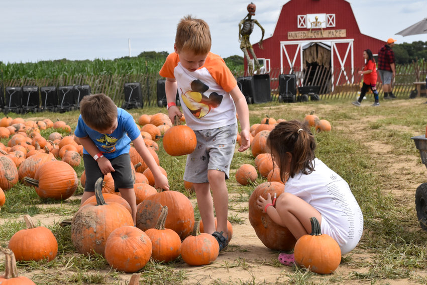 Pumpkin Picking Hayrides And Spooky Corn Mazes The Long Island Advance 